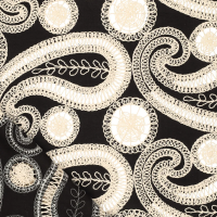 Paisly Embroidery