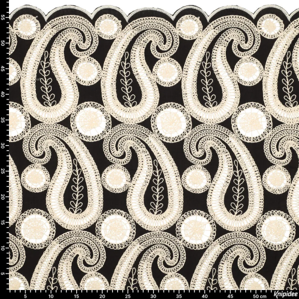 Paisly Embroidery