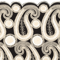 Paisly Embroidery